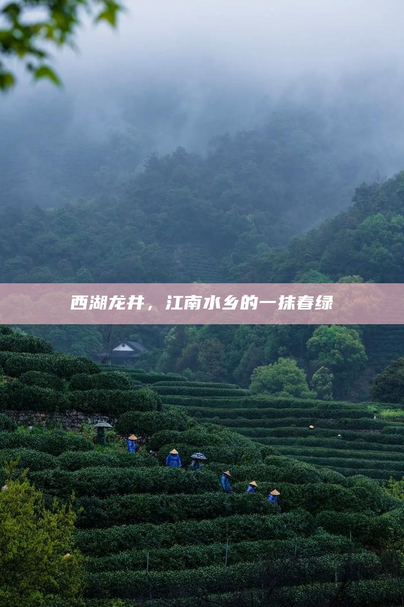 西湖龙井，江南水乡的一抹春绿
