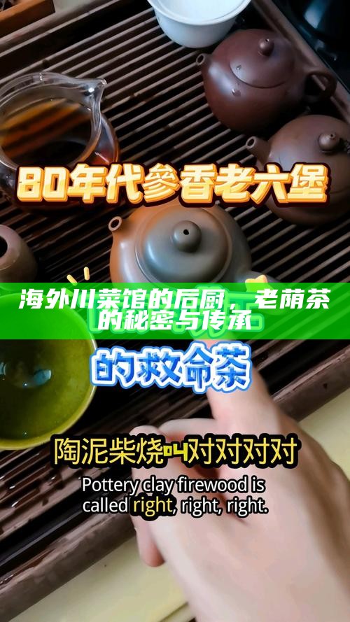 海外川菜馆的后厨，老荫茶的秘密与传承